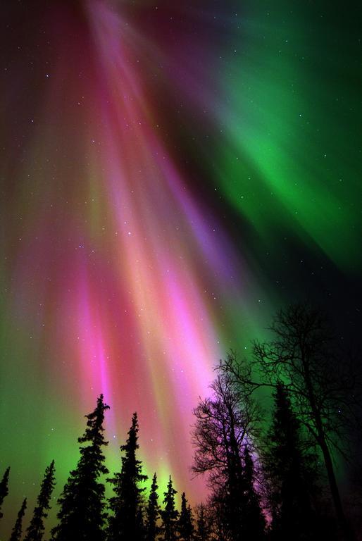 Lapland Northern Lights Hotel Ilveslinna Ranua Eksteriør billede