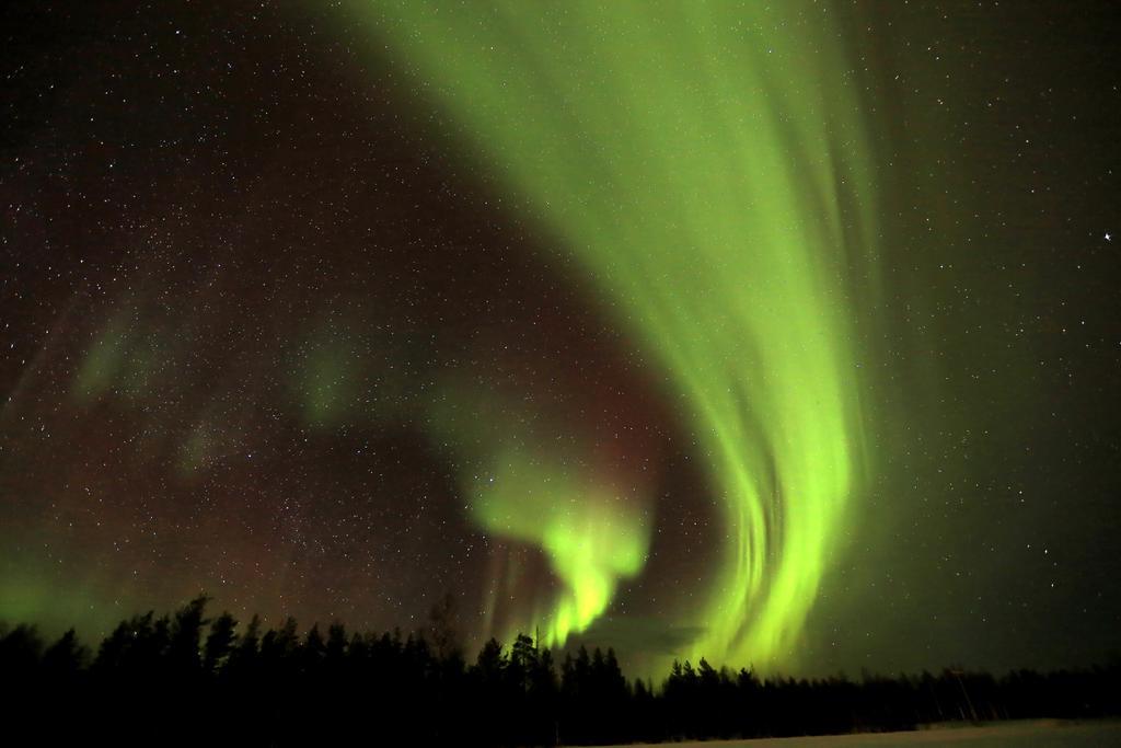 Lapland Northern Lights Hotel Ilveslinna Ranua Eksteriør billede