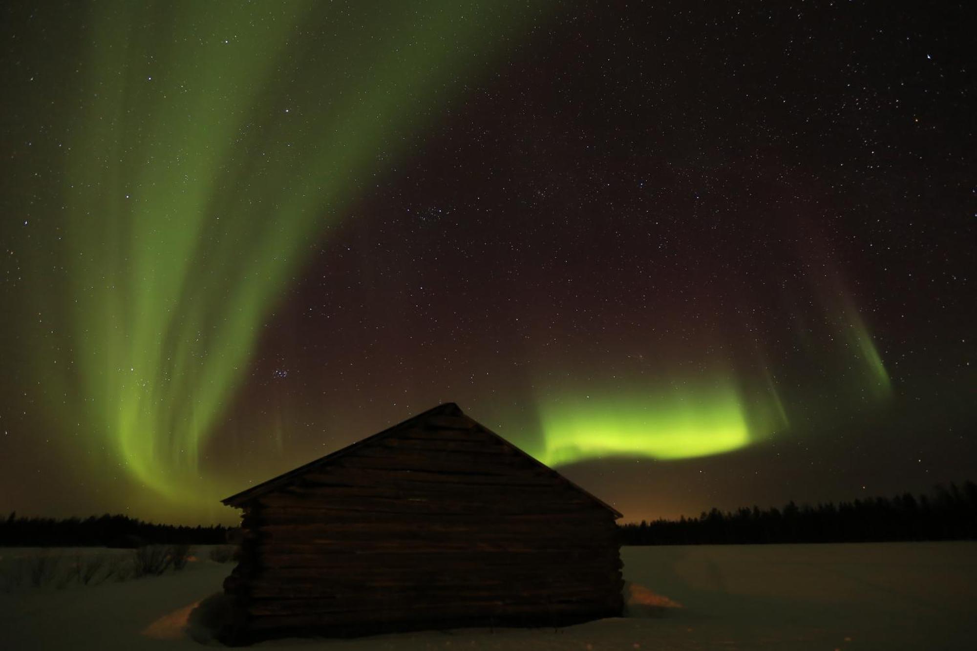 Lapland Northern Lights Hotel Ilveslinna Ranua Eksteriør billede