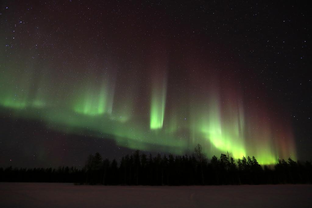 Lapland Northern Lights Hotel Ilveslinna Ranua Eksteriør billede