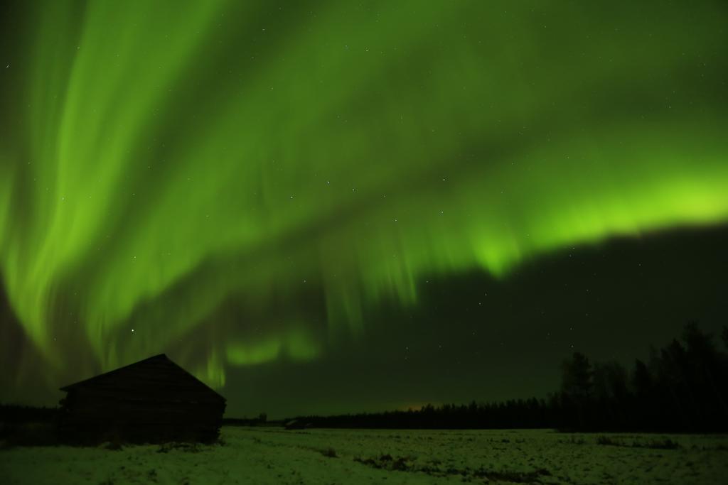 Lapland Northern Lights Hotel Ilveslinna Ranua Eksteriør billede