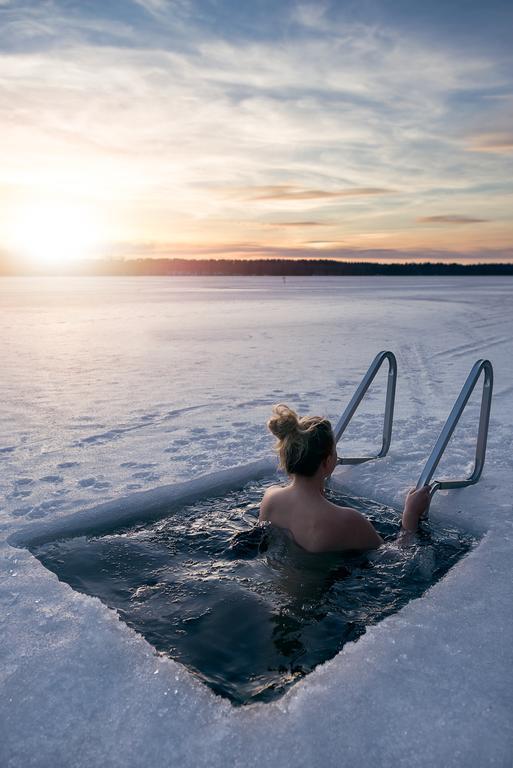 Lapland Northern Lights Hotel Ilveslinna Ranua Eksteriør billede
