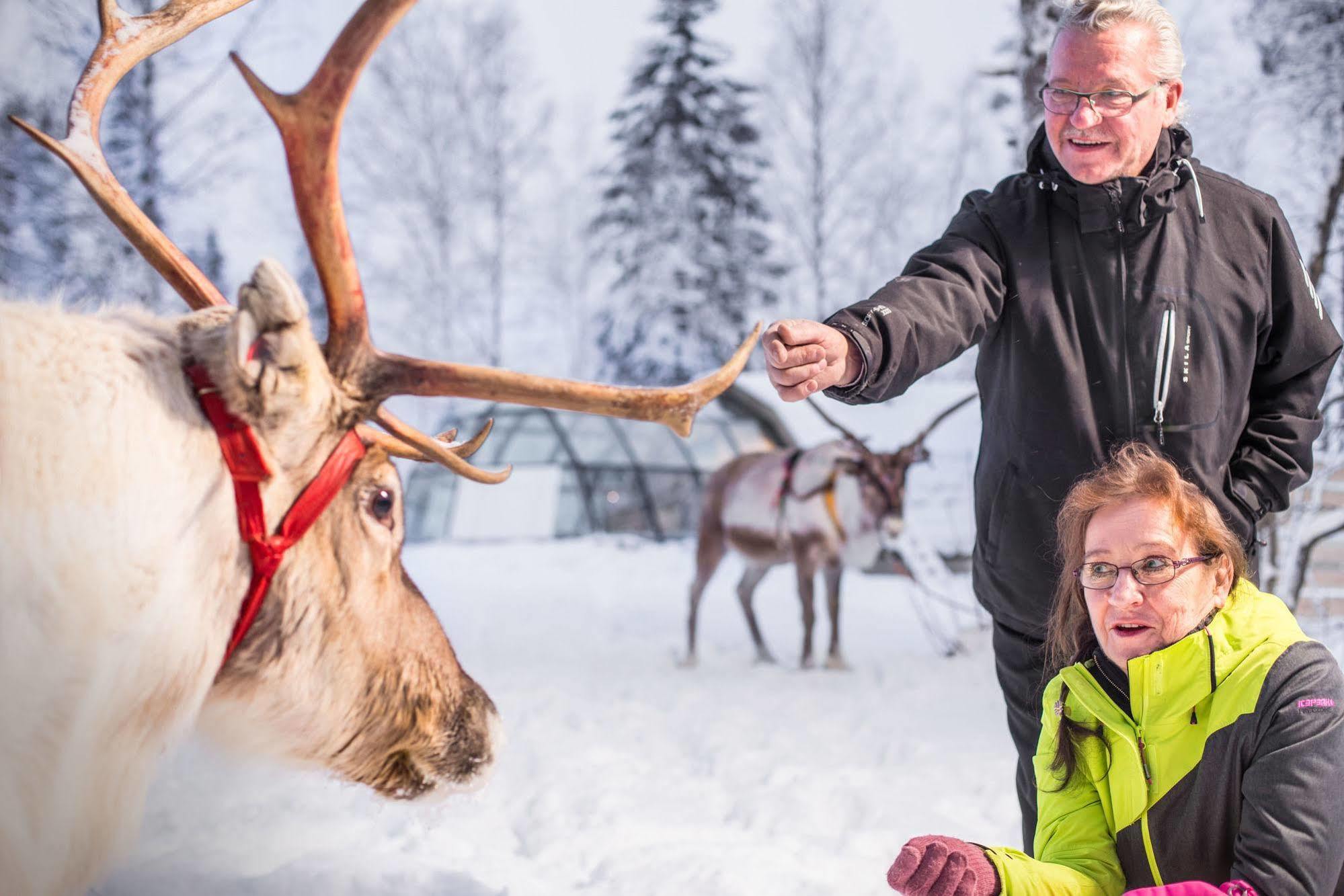 Lapland Northern Lights Hotel Ilveslinna Ranua Eksteriør billede