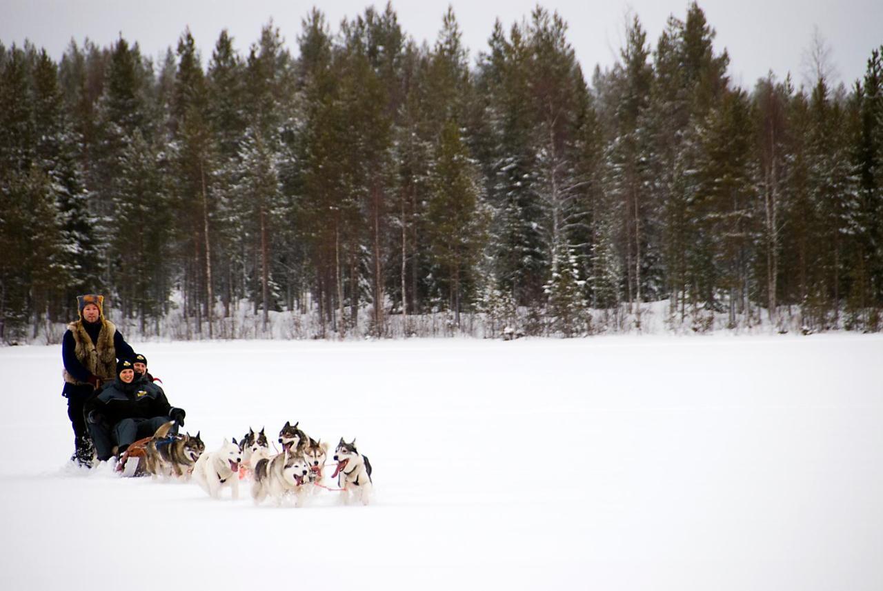 Lapland Northern Lights Hotel Ilveslinna Ranua Eksteriør billede